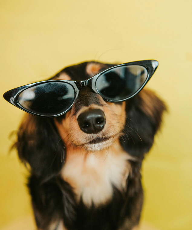 Deepak Opticians